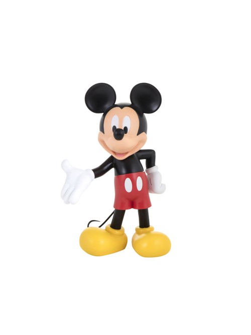 Mickey Welcome Regular